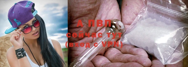 трава Беломорск