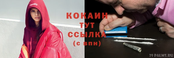 крисы Белокуриха