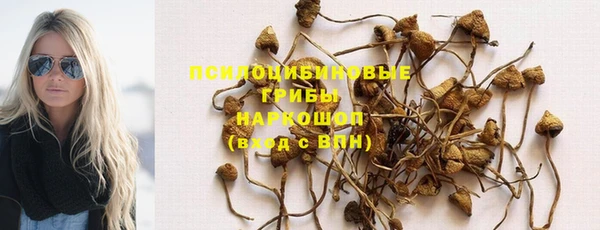 трава Беломорск
