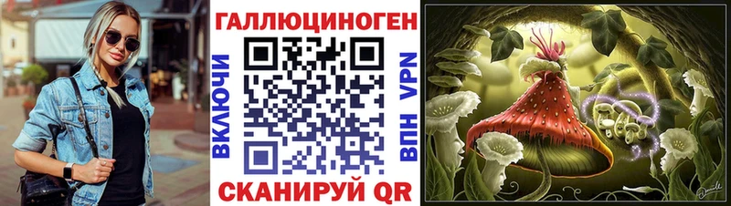 сайты даркнета Telegram  Кстово  Псилоцибиновые грибы Cubensis 