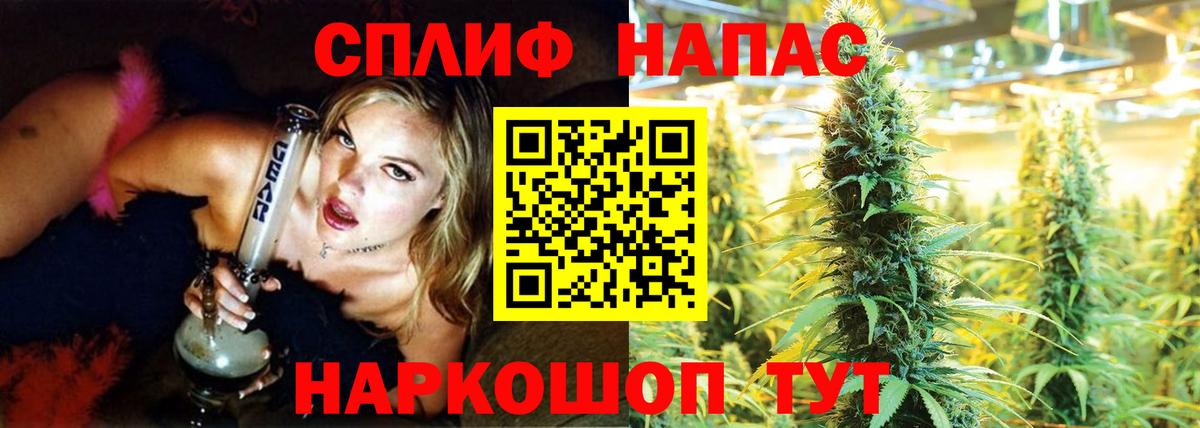 Бошки Шишки OG Kush Кстово